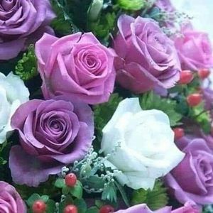 Meet your Posher, Janine